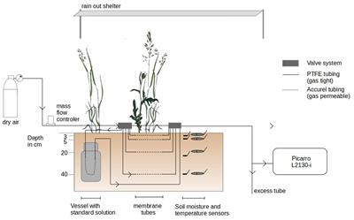 Water Stable Isotopes in Ecohydrological Field Research: Comparison Between In Situ and Destructive Monitoring Methods to Determine Soil Water Isotopic Signatures